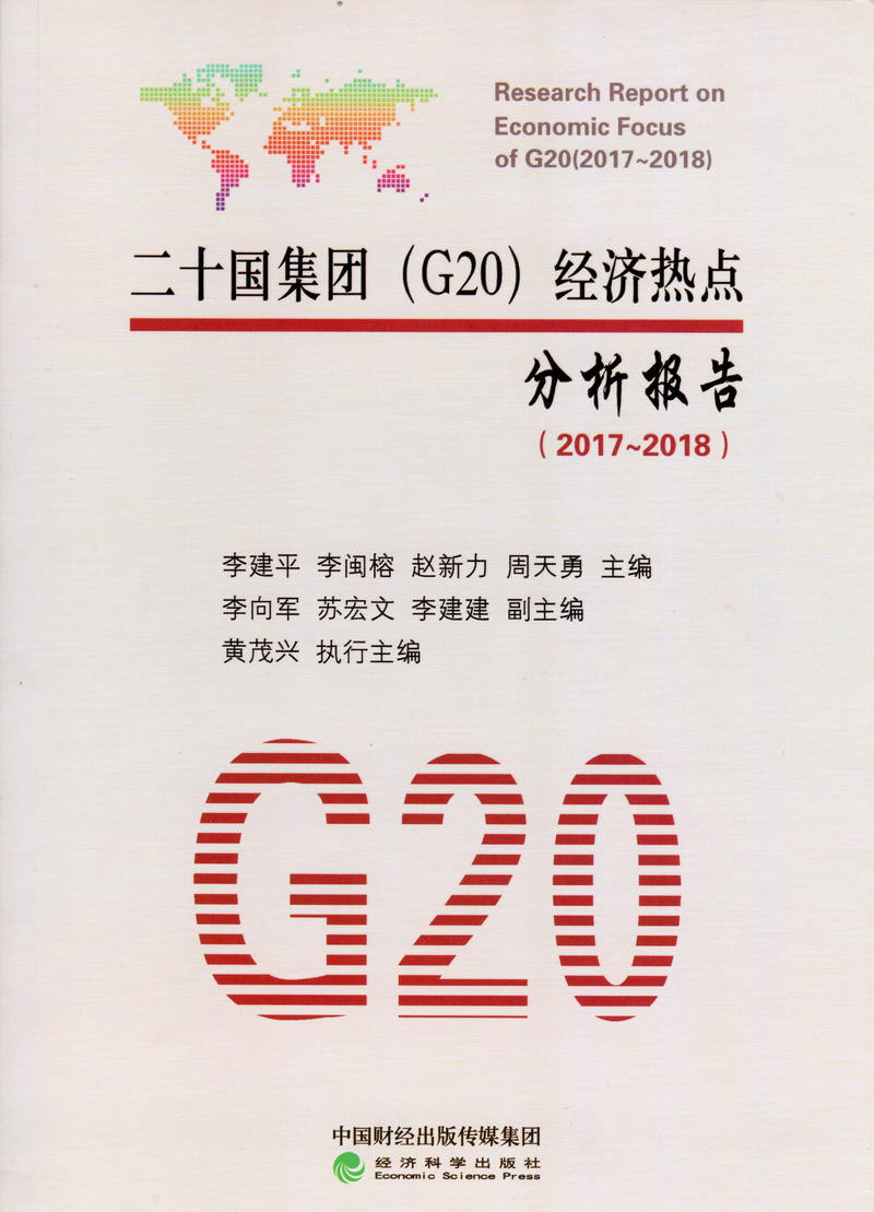 啊啊啊操插日二十国集团（G20）经济热点分析报告（2017-2018）